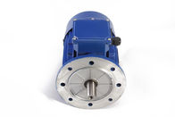 MS Series Aluminum Metal 3 Phase Induction Motor 0.18KW 3Ph Electric Motors 2 Pole 63 Frame