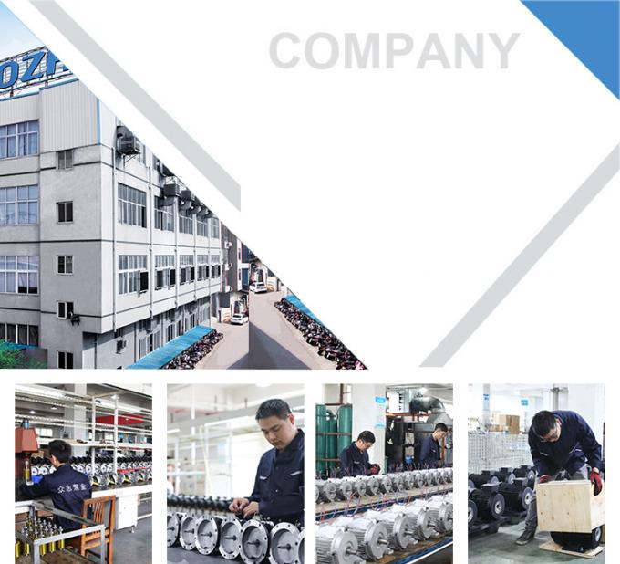 Pompa per piscina 2800 giri al minuto Motore asincrono monofase con alluminio impermeabile e 220V a frequenza 50Hz 9