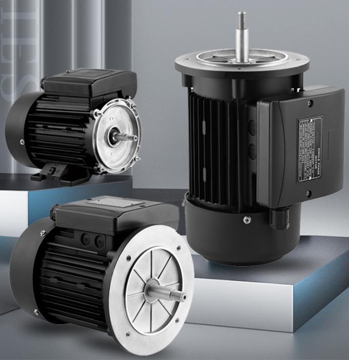 Pompa per piscina 2800 giri al minuto Motore asincrono monofase con alluminio impermeabile e 220V a frequenza 50Hz 1