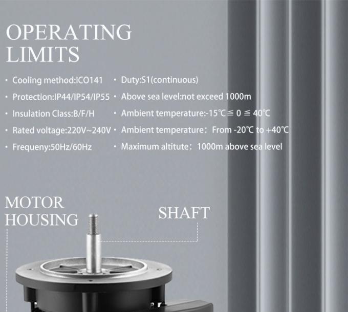 Pompa per piscina 2800 giri al minuto Motore asincrono monofase con alluminio impermeabile e 220V a frequenza 50Hz 2