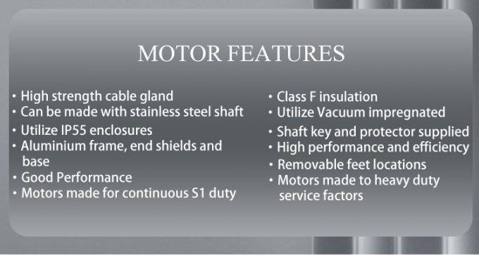 Pompa per piscina 2800 giri al minuto Motore asincrono monofase con alluminio impermeabile e 220V a frequenza 50Hz 4