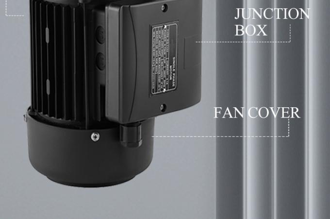 Pompa per piscina 2800 giri al minuto Motore asincrono monofase con alluminio impermeabile e 220V a frequenza 50Hz 3