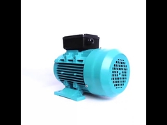 motore a induzione monofase