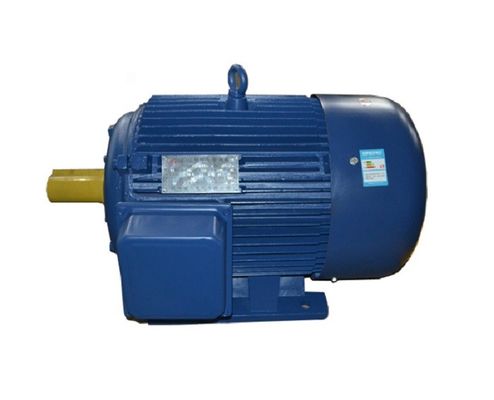Motoriduttore Elettrico Monofase 220V, 90W, Riduzione 1:100, Velocità Regolabile 0-13.5 Giri/min, Coppia 24Nm