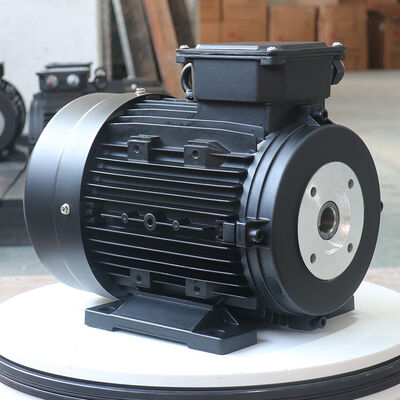 24mm Shaft Hollow Shaft Motor Quiet Running Noise Level 65dB or Less Suitable for High Pressure Washer Machine