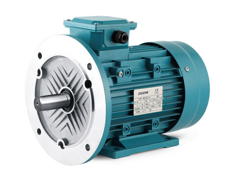 Class F Insulation 3 Phase Induction Motor IP55 Grade 20m Head Suitable for Industrial Applications and Heavy Duty Operations