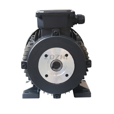 2kg to 15kg Hollow Shaft Motor Offering Flange Mount and Class F Insulation Ideal for Semiconductor Equipment Automation