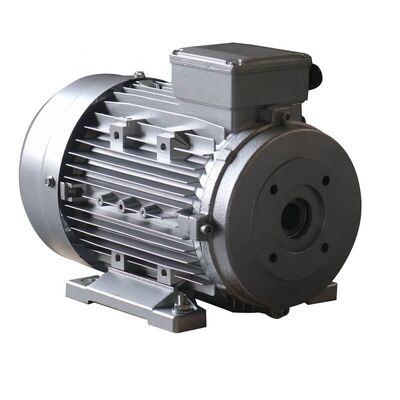 Flange Mount Hollow Shaft Electric Motor Offering IP54 Protection Rating Perfect for Automotive Assembly and Robotics Integration