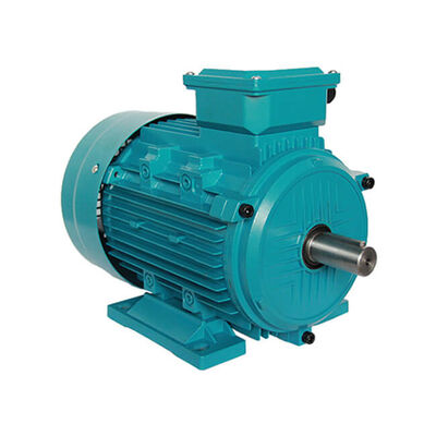 Frame 112 3 Phase Induction Motor Asynchronous Speed 1500RPM Durable Electric Motor Designed for Industrial Applications