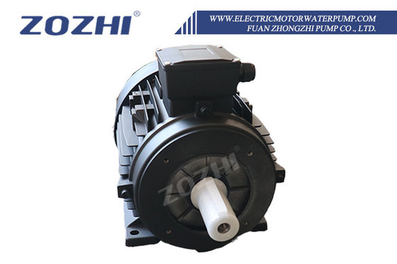 Compatto motore a induzione a tre fasi da 0,75 kW con montaggio a flange e design impermeabile per applicazioni industriali
