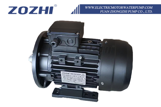 Pompa acqua con motore elettrico con intervallo di temperatura -20-100°C, funzionalità automatica e coperchio anteriore in ghisa/alluminio
