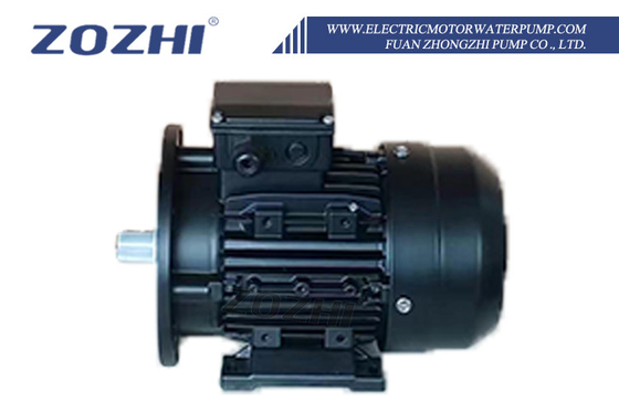 Pompa acqua con motore elettrico con portata di 500 GPH, prevalenza massima di 25 piedi e prevalenza di 20 metri per un trasferimento affidabile dell'acqua