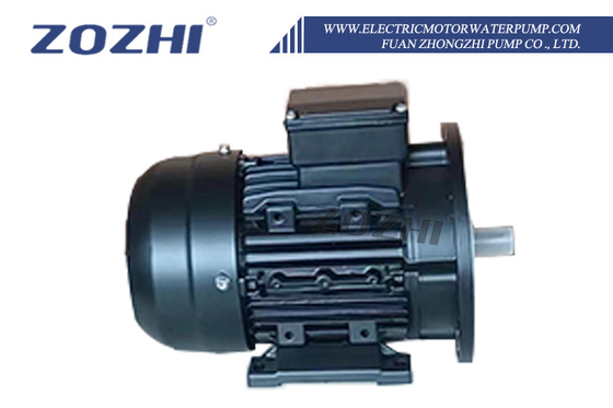 500 GPH Flow Rate 20m Head 7.5HP/5.5KW Output Electric Motor Pump per applicazioni industriali