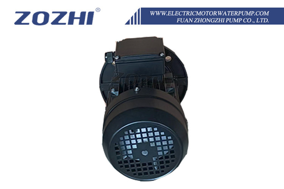 Pompa acqua con motore elettrico, motore da 1,5KW, prevalenza massima 25 piedi e prevalenza 20m per un efficiente trasferimento dell'acqua