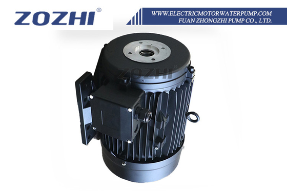 Motore ad albero cavo personalizzabile Frequenza nominale 50Hz Corrente 8.8A Standard IE1
