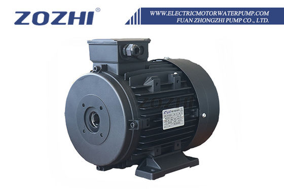 Motore ad albero cavo pesante con diametro di albero cavo di 24 mm progettato per prestazioni ed efficienza di precisione
