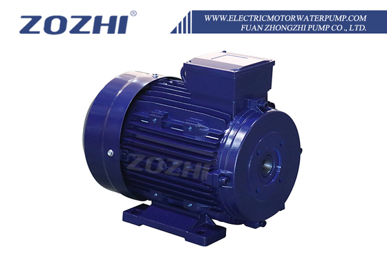 Motori a induzione elettrici AC da 30HP 22KW con albero cavo da 24mm 1000rpm Trifase 50Hz Frequenza 380V AC Alluminio 60Hz Chiuso