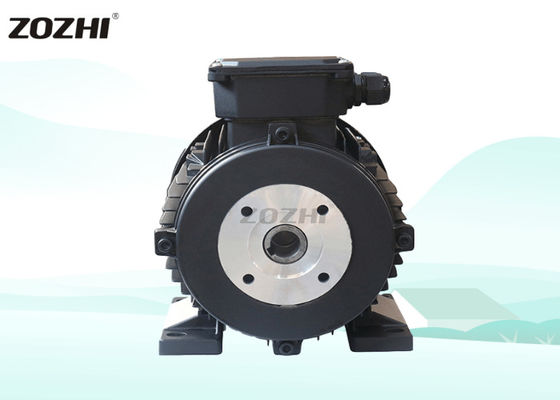 1.5KW Three-Phase AC Asynchronous Motor High Efficiency Waterproof Hollow Shaft Motor for Pressure Washer
