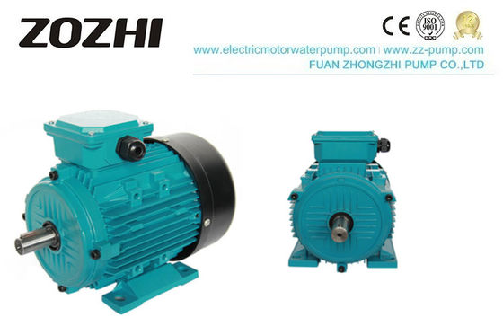 Motore a induzione trifase con involucro in alluminio da 0,75KW serie MS con protezione IP54